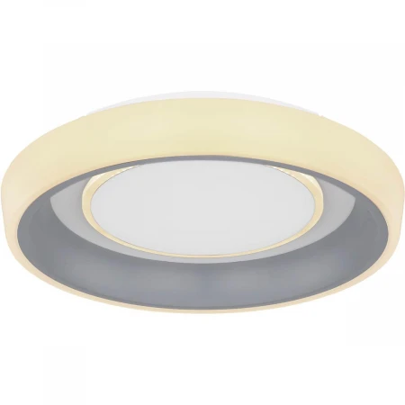 Потолочный светодиодный светильник Globo Tabano 48272-46