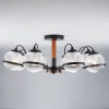 Потолочная люстра с плафонами из стекла Eurosvet 70081/8 черный
