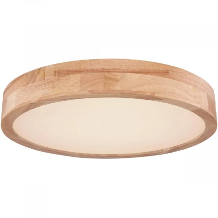 Потолочный светодиодный светильник Globo Rainer 41745-24