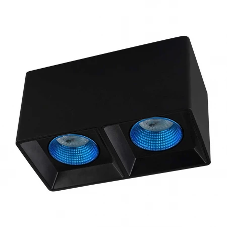 Потолочный светильник Denkirs DK3020BСY DK3085-BK+CY