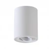 Потолочный светильник Crystal Lux CLT 410C1 WH