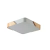 Потолочный светильник Zortes ALBERRO ZRS.01285.48