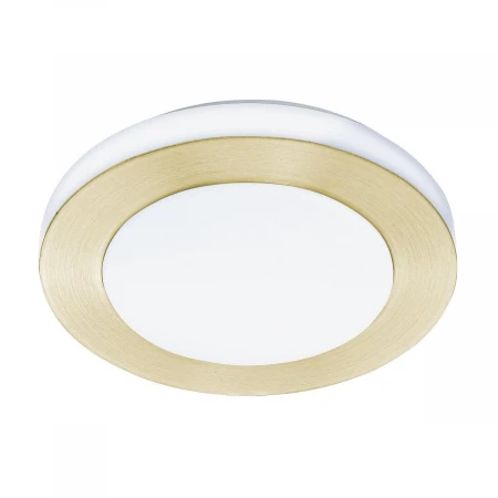 Потолочный светодиодный светильник Eglo LED Carpi 900369