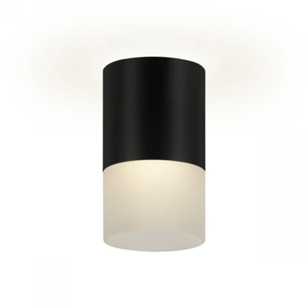 Накладной потолочный светильник Ritter Essen RCS-65MR16-BL 52060 3