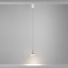 Подвесной светильник Maytoni Technical P102PL-12W4K-W