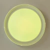 Потолочный светодиодный светильник Citilux Mega CL752450G