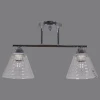 Люстра Reluce 01529-0.3-02 CR