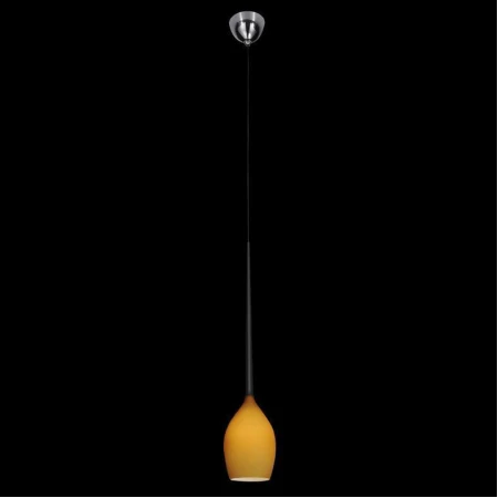 Светильник Lightstar 807113 C Simple light