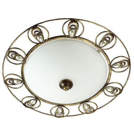 Светильник Odeon Light 3484/2C KANTI