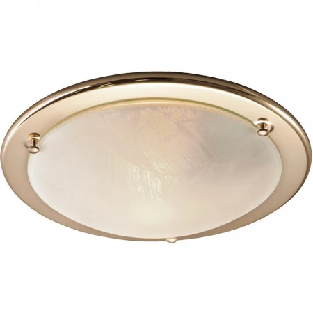 Светильник Sonex 121 Alabastro