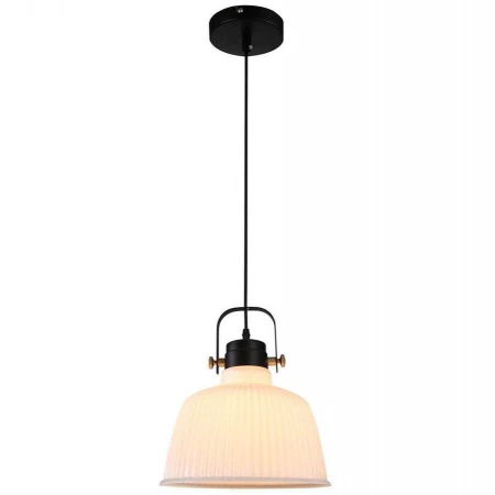 Светильник Omnilux OML-28206-01 Garaya