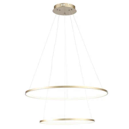 Светильник ST LUCE SL904.203.02 ERTO