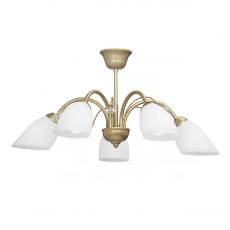 Потолочная люстра Vitaluce V3238/5PL