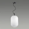 Подвесной светильник Odeon Light Roofi 4752/1