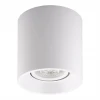 Потолочный светильник Denkirs DK3040-WH Потолочный светильник Denkirs DK3040-WH