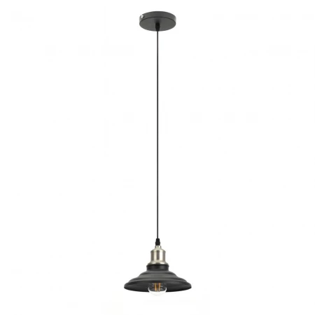 Подвесной светильник ЭРА Loft PL4 BK/BN
