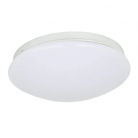 Потолочный светодиодный светильник F-Promo Ledante 2469-2C