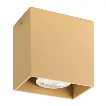 Потолочный светильник Denkirs DK2027-CO