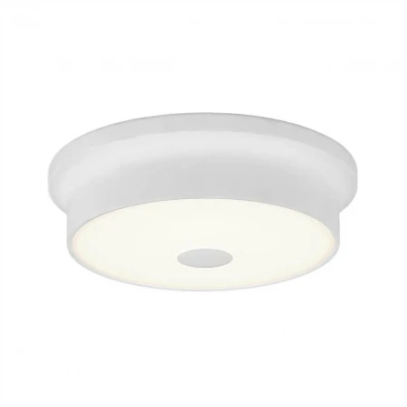 Потолочный светодиодный светильник Citilux Фостер-2 CL706210