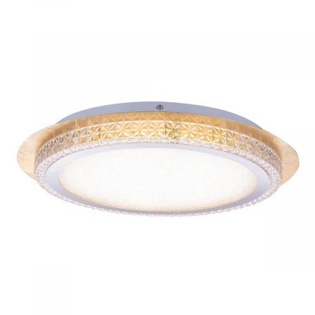 Потолочный светодиодный светильник Globo Hakka 41912-24G